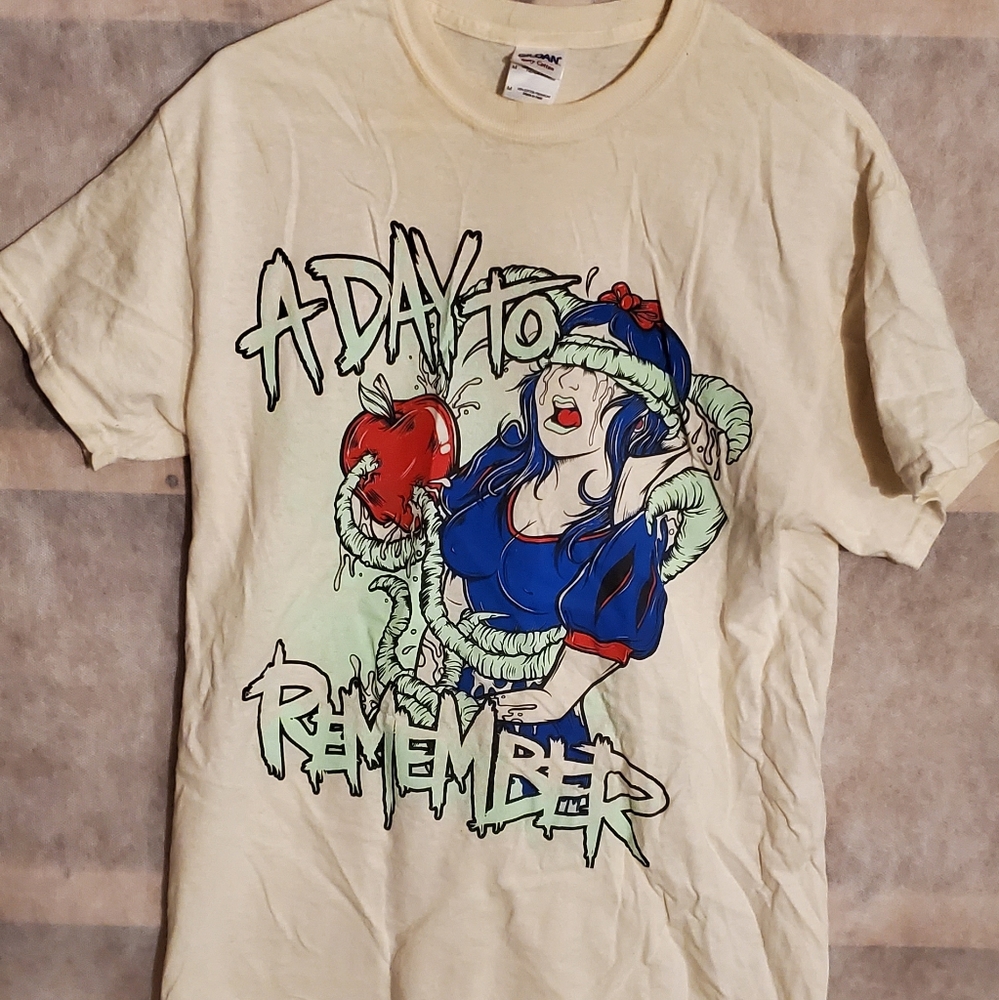 A day to remember band tee